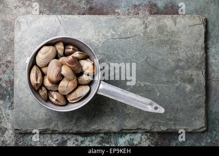 Raw Shells vongole in colander on stone slate background Stock Photo