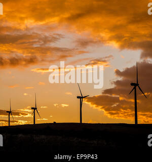 Windmills in Borja area. Tarazona and Moncayo region, Aragon, Spain Stock Photo