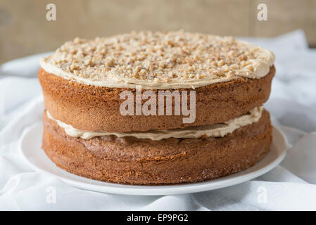 Coffee and walnut cake. Stock Photo