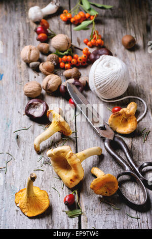 Chanterelle mushrooms, nuts and berries with vintage scissors and thread over wooden background. See series Stock Photo