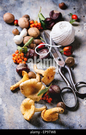 Chanterelle mushrooms, nuts and berries with vintage scissors and thread over tin surface. See series Stock Photo
