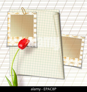 Bouquet of beautiful red tulips with slides on paper white background Stock Photo