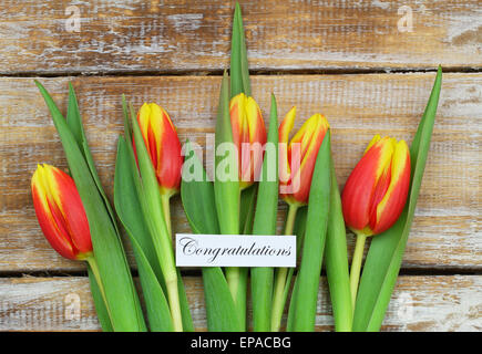 Congratulations card with red and yellow tulips on rustic wood Stock Photo