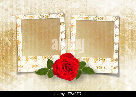 Bouquet of beautiful red roses with the invitation or congratulation on the white paper Stock Photo