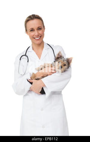 Happy vet holding yorkshire terrier puppy smiling at camera Stock Photo