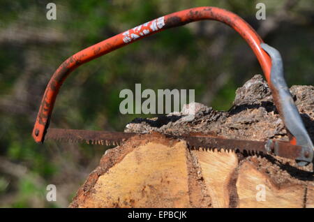 Buck saw Stock Photo