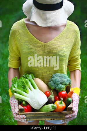 Woman with fresh vegetables in the box in her hands. Close up Stock Photo