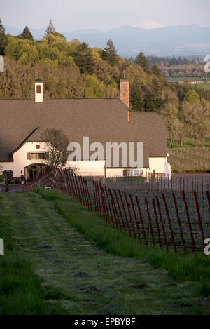 The grounds of the St. Innocent Winery and Zenith Vineyards in the Eola-Amity Hills AVA near Salem, Oregon. Stock Photo