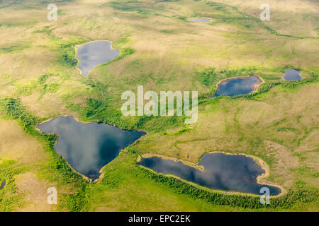 Aerial view of green tundra, small lakes and streams, Arctic Alaska, summer Stock Photo