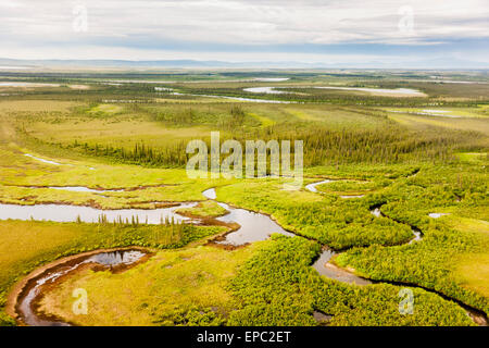 Aerial view of green tundra, wetlands, small lakes and streams, Arctic Alaska, summer Stock Photo