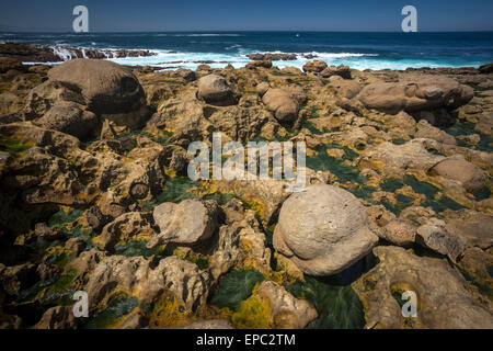 Paramoudras embedded in sandstone of the Guipúzcoa coastline (Spain). Paramoudras enchassés dans le grès de la côte de Guipuscoa Stock Photo