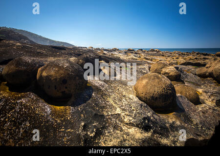 Paramoudras embedded in sandstone of the Guipúzcoa coastline (Spain). Paramoudras enchassés dans le grès de la côte de Guipuscoa Stock Photo