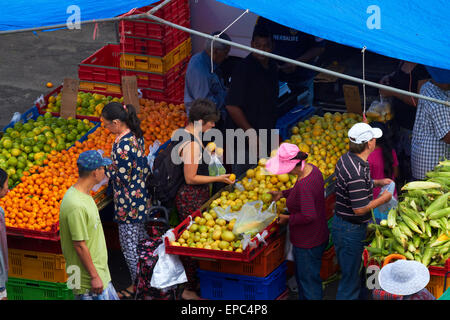 Produce stalls, Avondale Sunday Market, Auckland, North Island, New Zealand Stock Photo