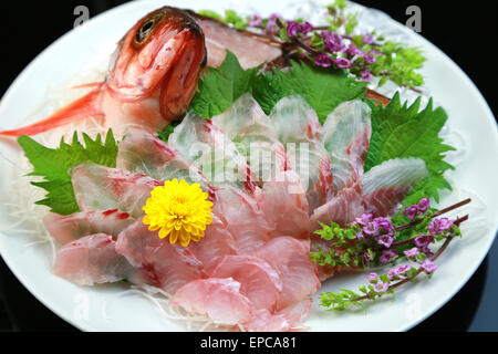 Sashimi of Japanese rockfish Stock Photo