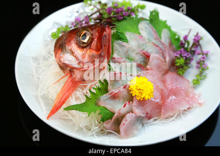 Sashimi of Japanese rockfish Stock Photo