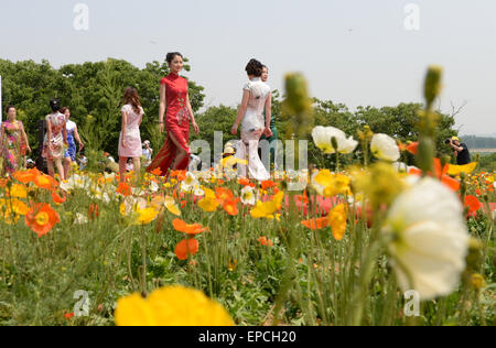 Rizhao, China's Shandong Province. 16th May, 2015. Models present cheongsams, a traditional Chinese women's dress also known as Qipao, during a cheongsam show in Rizhao, east China's Shandong Province, May 16, 2015. Sponsored by China Qipao Society, a worldwide cheongsam show was held Saturday, with the participation of some 150,000 cheongsam lovers from 420 branches of China Qipao Society around the world. © Fan Changguo/Xinhua/Alamy Live News Stock Photo