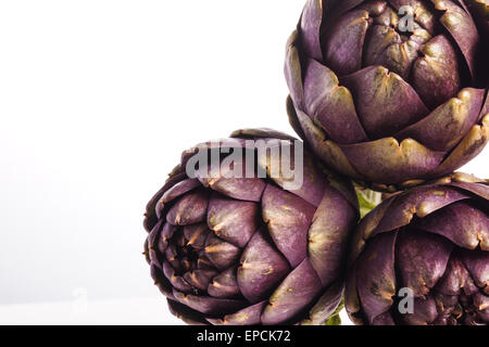 Three Purple artichokes ready for cooking, isolated on white Stock Photo