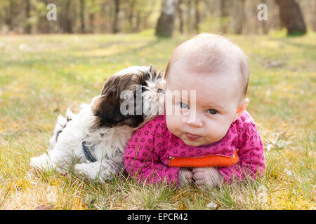 Cute baby and puppy are on the grass in nature Stock Photo