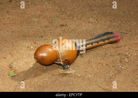 Drops of Indian cobra venom on snake catcher's whistle, Tamil Nadu, South India Stock Photo