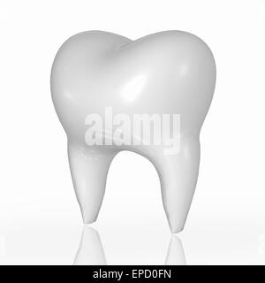 White healthy molar tooth 3D render Stock Photo - Alamy