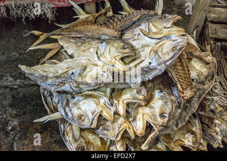strangely beautiful twisted forms of dried fish in pale lovely tones of blue green & gold for sale in main market San Cristobal Stock Photo