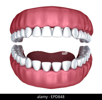 Human teeth opening isolated on white background, 3D rendering Stock ...