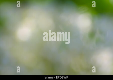 nature spring defocused background Stock Photo
