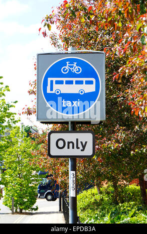 A road sign for cycles, buses, and taxis only at Riverside, Norwich, Norfolk, England, United Kingdom. Stock Photo