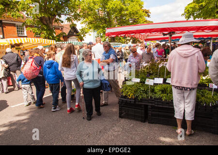 Alresford watercress festival, Broad Street, New Alresford, Hampshire, England, United Kingdom. Stock Photo