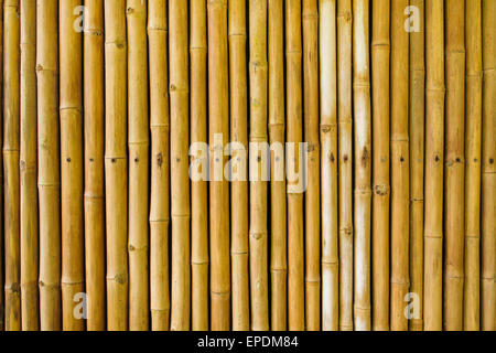 bamboo fence background Stock Photo