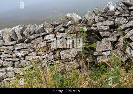 UK, England, Yorkshire Dales.  Stone Fences Delineate Field Boundaries. Stock Photo