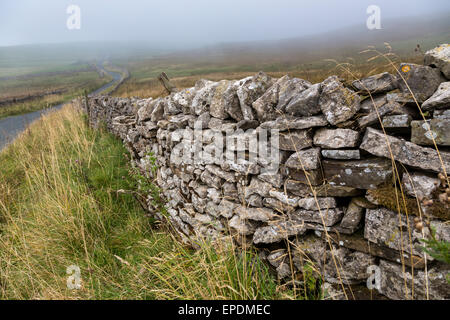 UK, England, Yorkshire Dales.  Stone Fences Delineate Field Boundaries. Stock Photo