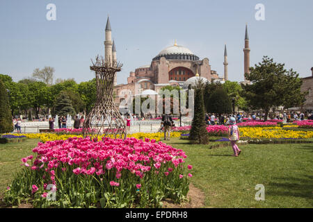The Aya Sofya stands resplendent behind the beautiful planting in Sultanahmet Park Stock Photo