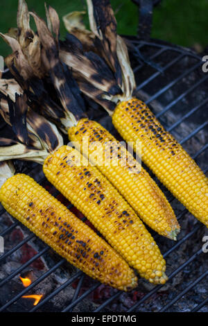 Four corn on the cobs roasting on a grill Stock Photo