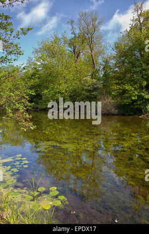 Wanstead Park in Spring Stock Photo