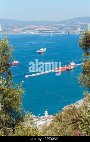 View of the sea/ocean and city of Gibraltar from the top of the rock ...