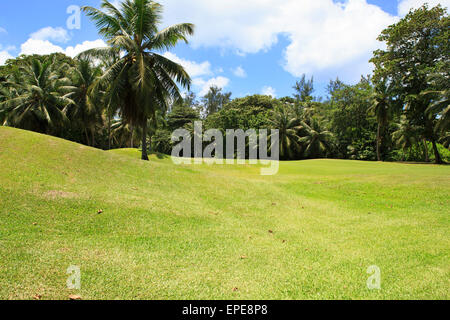 Beautiful golf course at the Constance Lemuria Resort. Praslin Island in the Seychelles. Stock Photo