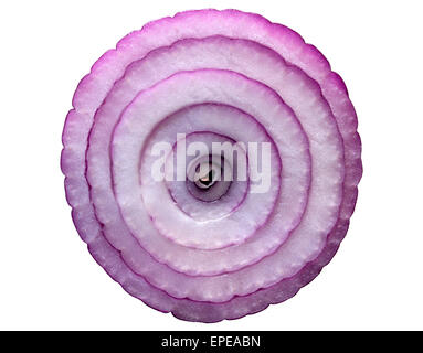 A ring of purple onion in cross section.(Allium cera) Stock Photo