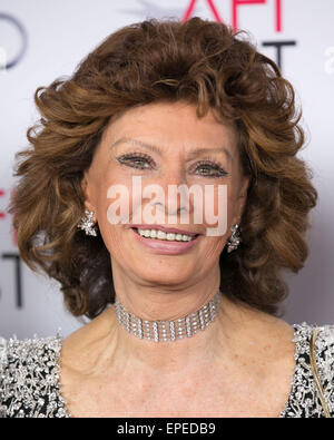 Celebrities attends the special tribute to Sophia Loren during the AFI FEST 2014 presented by Audi at Dolby Theatre.  Featuring: Sophia Loren Where: Los Angeles, California, United States When: 13 Nov 2014 Credit: Brian To/WENN.com Stock Photo