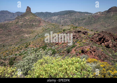 View from Cruz de Timagada towards Roque Bentayga, Artenara at the back on the right, blooming vegetation, Gran Canaria Stock Photo