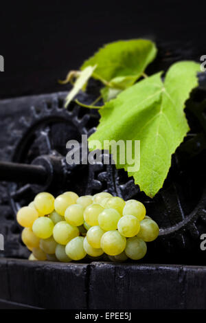 Green grapes with leaves on black old wooden antique wine press. Traditional wine making culture. Stock Photo