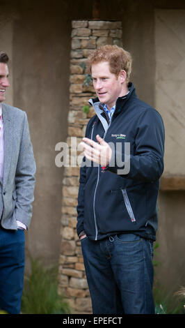 Prince Harry attends RHS Chelsea flower show 2015. Stock Photo
