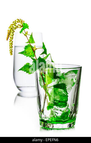 A glass of birch sap. Fresh, clean look. Birch juice in elegant highball glass decorated with tiny birch branch with leaves Stock Photo