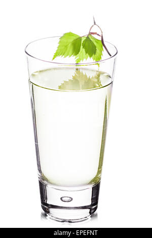 A highball glass of birch sap decorated with beautiful birch leaves Stock Photo