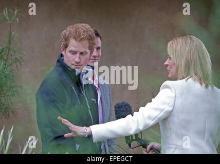 Prince Harry was interviewed by Louise Minchin from BBC breakfast at RHS Chelsea flower show 2015 Stock Photo