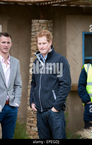 Prince Harry attends RHS Chelsea flower show 2015 Stock Photo
