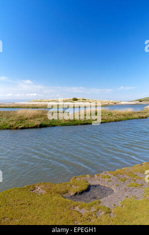 Aberthaw Saltmarsh Nature Reserve, Vale of Glamorgan, South Wales, UK ...