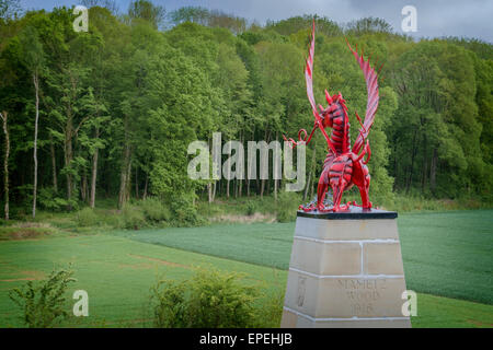 This Welsh dragon memorial overlooks the area where the 38th (Welsh) Division attacked Mametz Wood between 7th - 14th July 1916. Stock Photo