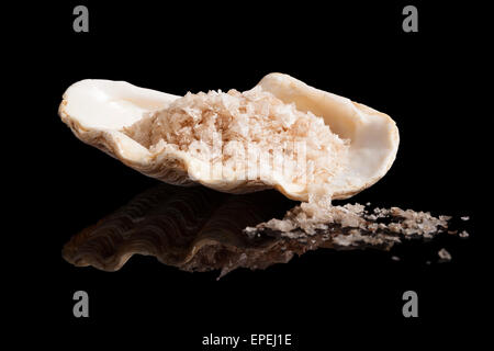 Himalaya salt crystals in beautiful seashell isolated on black background. Stock Photo