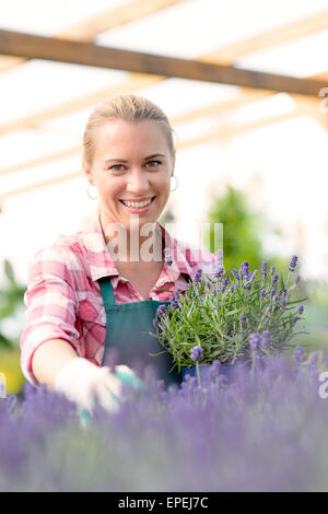 Garden center woman with lavender flowers smiling Stock Photo